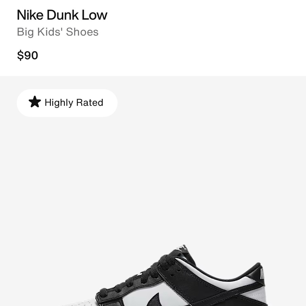 NIB Nike Low Dunk “Pandas”